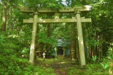 古き良き夏休みの記憶が、今も静かに呼吸している【書評ー虹色ほたるー】